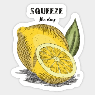 Squeeze the day Sticker